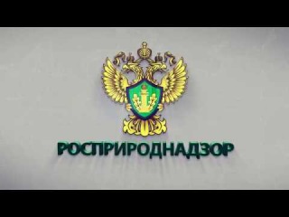 Росприроднадзор взыскал с Спецавтохозяйства 9.2 млн руб. за вред почвам