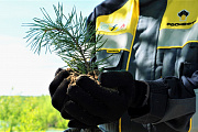 The AK&amp;M rating agency awarded Rosneft the highest rating for non-financial reporting