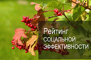 Рейтинговое агентство AK&M представило девятый рейтинг социальной эффективности крупнейших российских компаний