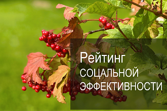Рейтинговое агентство AK&M представило девятый Рейтинг социальной эффективности крупнейших российских компаний