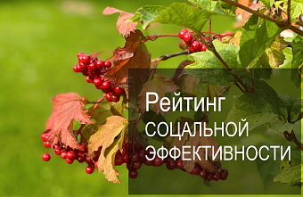 Рейтинговое агентство AK&M представило девятый Рейтинг социальной эффективности крупнейших российских компаний