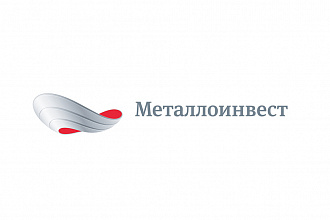 Metalloinvest confirms contribution to public capital