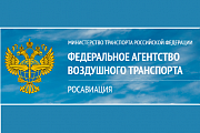 М.Мишустин назначил Н.Андрианову врио главы Росавиации